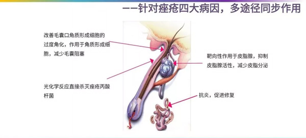 QQ图片20180423173341.jpg